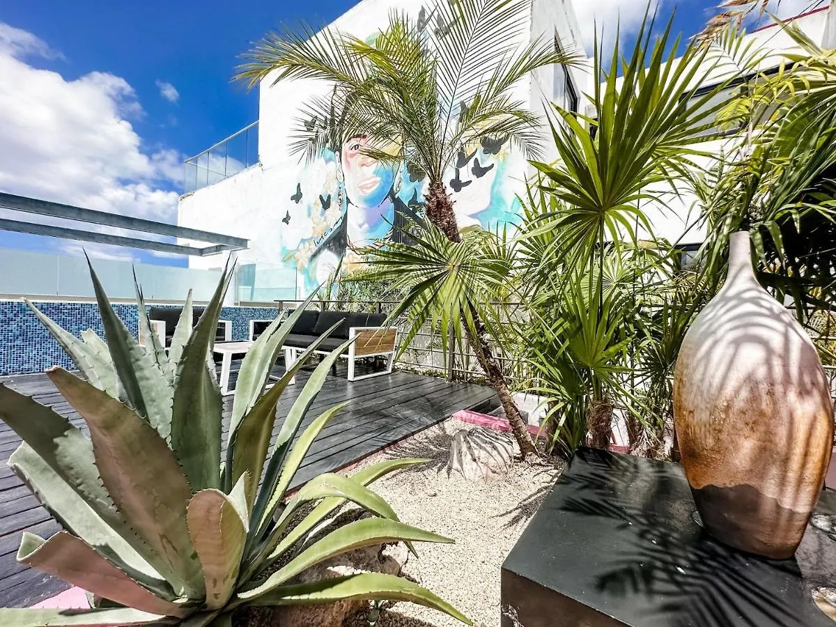 Dc 1103 Trendy Condo In Mamitas Beach Area Half Block To 5Th 신데 델 카르멘 0*,